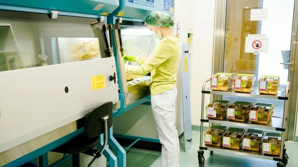 Tierlabor - &copy; Foto: Uwe Anspach/dpa