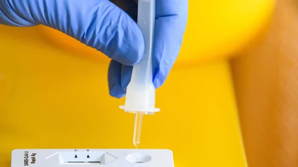 - &copy; Robert Michael/dpa-Zentralbild/dpa