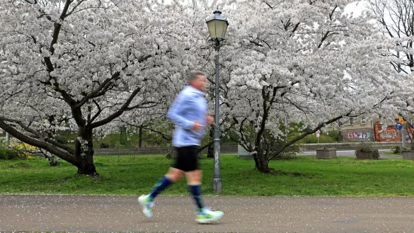 Joggen - &copy; Foto: Peter Gercke/dpa-Zentralbild/dpa