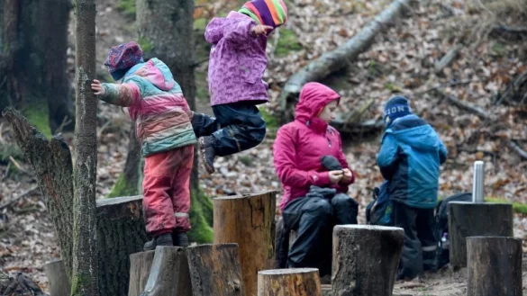 So &auml;hnlich k&ouml;nnte es aussehen: Die Waldhasen-Gruppe spielt im Waldkindergarten am Boxberg in Schleswig-Holstein. - &copy; Carsten Rehder/dpa