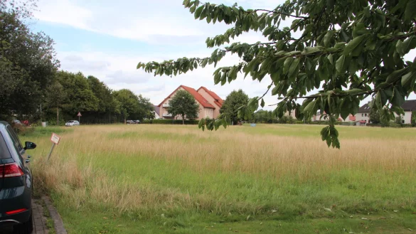 Auf diesem Grundst&uuml;ck in Hardissen, das die Stadt gekauft hat, soll eine neue Kindertagesst&auml;tte entstehen. Baubeginn k&ouml;nnte schon im Sommer sein.&nbsp; - &copy; Cordula Gr&ouml;ne