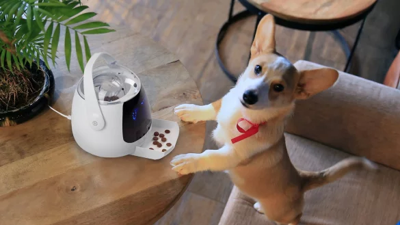 Snack-Automat von Pawbo/Acer - &copy; Foto: Pawbo/Acer/dpa-tmn