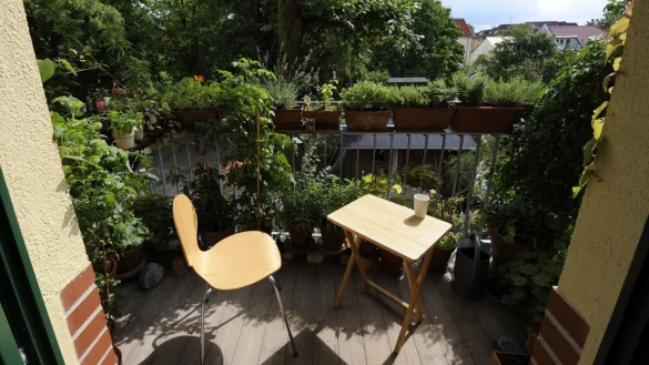 Fr&uuml;hling auf dem Balkon genie&szlig;en - &copy; Foto: Rainer Jensen/dpa/dpa-tmn