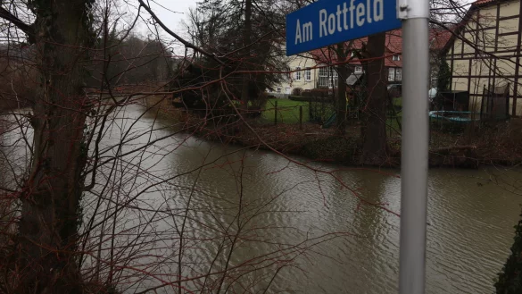 Ein Ziel f&uuml;r die paarungsbereiten Amphibien ist der Teich am Gut Eckendorf an der Bielefelder Stra&szlig;e. - &copy; Birgit Guhlke