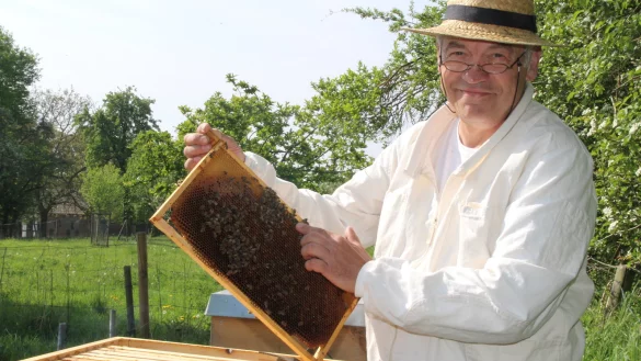 Seine Bienenv&ouml;lker seien sehr friedlich, betont Walter Klei, der Vorsitzende des Imkervereins Asemissen. Man k&ouml;nne die Tiere sogar leicht streicheln. - &copy; Knut Dinter