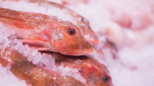 Fischkonsum - &copy; Foto: Rolf Vennenbernd/dpa