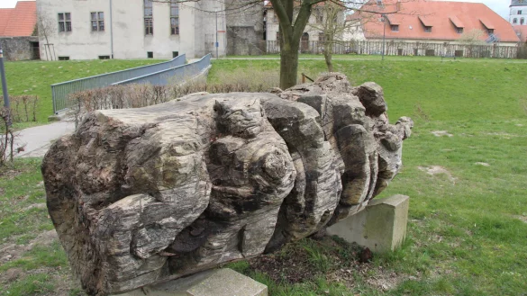 &bdquo;Gemeinsam gestalten &ndash; wie wir uns sehen" &ndash; so hei&szlig;t diese Holzskulptur am Wallgraben im Schatten der Burg. Die langgezogene Gr&uuml;nanlage beispielsweise mit weiteren Kunstwerken aufzuwerten oder anderweitig zu m&ouml;blieren, w&auml;re mit Hilfe des Verf&uuml;gungsfonds zu einem gro&szlig;en Teil m&ouml;glich. Crowdfunding k&ouml;nnte die verbleibende Finanzierungsl&uuml;cke f&uuml;llen. - &copy; Dieter Asbrock