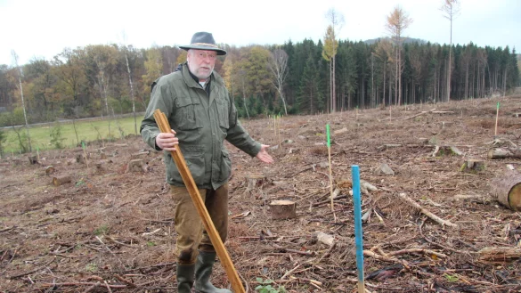 Blombergs F&ouml;rster Stephan Radeck hat Eichen am Eichenberg gepflanzt. - &copy; Seda Hagemann
