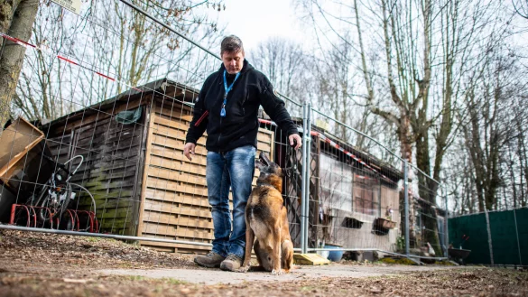 Der Diensthundef&uuml;hrer J&ouml;rg Siebert steht mit seinem Belgischen Sch&auml;ferhund Artus, der auf Datentr&auml;ger spezialisiert ist, an der abgesperrten Parzelle des mutma&szlig;lichen T&auml;ters auf dem Campingplatz Eichwald in L&uuml;gde. - &copy; Guido Kirchner/dpa