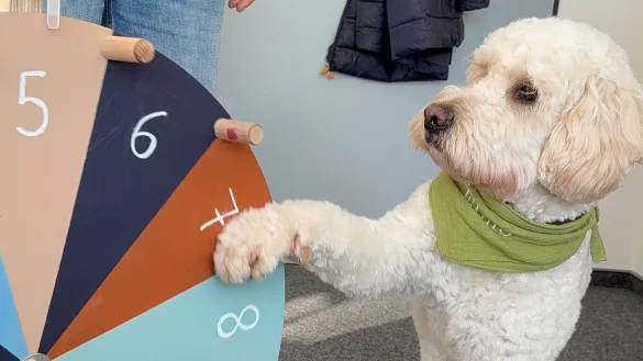 Elmo ist Mitglied im Team der regionalen Schulberatungsstelle des Kreises Paderborn. - &copy; Kreis Paderborn