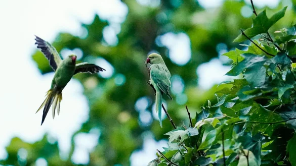 - &copy; Uwe Anspach/dpa