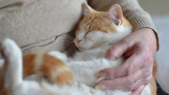 Sicherheit - &copy; Foto: Angelika Warmuth/dpa