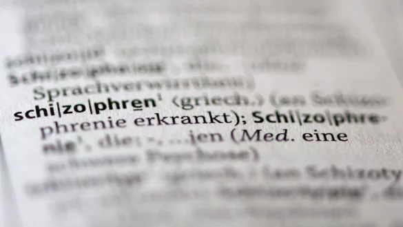Schizophrenie - &copy; Foto: Christian Charisius