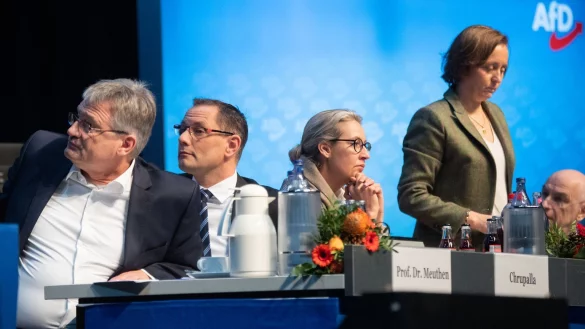 AfD-Bundesparteitag - &copy; Foto: Julian Stratenschulte/dpa