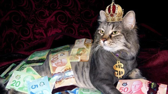 Platz zwei in Deutschland: Laut dem chinesischen Wirtschaftsmagazin Hurun leben nur in Hamburg noch mehr Milliard&auml;re als in Bielefeld. - &copy; Symbolfoto Pixabay