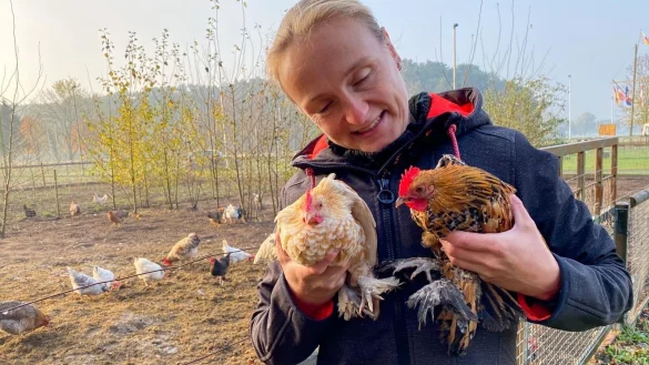 Petra Hagemeier war ziemlich erstaunt, als sie die beiden fremden H&auml;hne am Dienstag entdeckte. - &copy; Anke Schneider