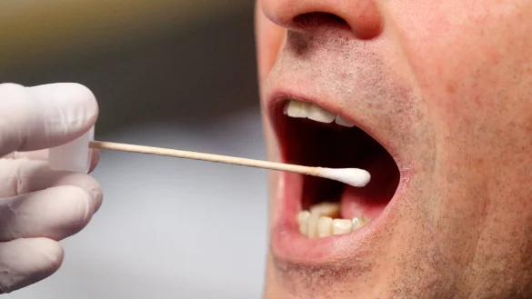 DNA-Massentest - &copy; Foto: Roland Weihrauch/dpa