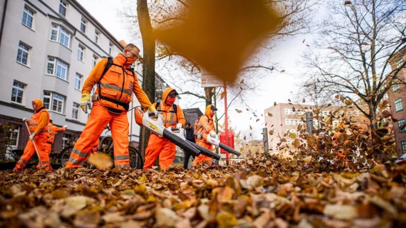 Laub - &copy; Foto: Daniel Reinhardt/dpa