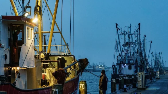 Fischerboote in B&uuml;sum - &copy; Foto: Axel Heimken/dpa