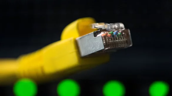 Datenverlust droht: WD My Book live vom Netz trennen - &copy; Foto: Franziska Gabbert/dpa-tmn