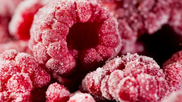 Himbeeren - &copy; Foto: Franziska Gabbert/dpa-tmn