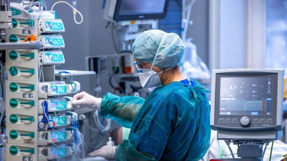 - &copy; Jens B&uuml;ttner/dpa-Zentralbild/dpa