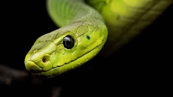 - &copy; Symbolfoto: Pixabay