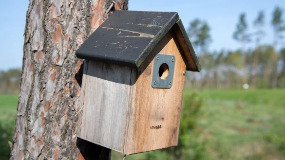 Nistkasten - &copy; Foto: Andrea Warnecke