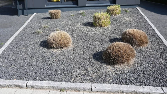 Schottergarten - &copy; Foto: Carmen Jaspersen