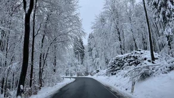 Im Winter 2023 präsentiert sich der Wald zwischen Lüdenhausen und Linderhofe als "Winterwunderland". An einigen Stellen locken noch ähnliche Blicke in Lippe. - © Till Brand