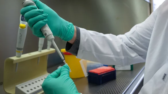 Ein Forscher zeigt im Landesgesundheitsamt Baden-W&uuml;rttemberg, wie ein PCR-Test f&uuml;r die Analyse auf Mutationen des Coronavirus vorbereitet wird.&nbsp; - &copy; Sebastian Gollnow/dpa