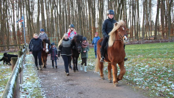 Sicher unterwegs: (von links) Zoe Rekelkamm f&uuml;hrt Uljana auf &bdquo;Kvikkur", Marlene, Nathalie Kibbert mit Page auf &bdquo;H&aacute;kon", Ella, Barbara Tiemann-Klein und Marla auf &bdquo;G&aacute;ti". Sie bleiben auf der Ovalbahn &ndash; der Wald im Hintergrund ist noch Tabu. - &copy; Foto: Marlen Grote