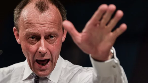 Merz - &copy; Foto: Martin Schutt/dpa-Zentralbild/dpa