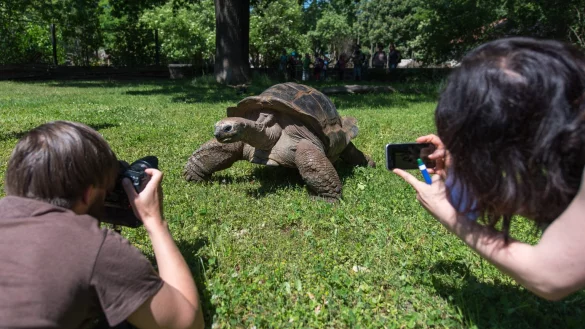 Sch&ouml;ne Tierfotos - &copy; Foto: Monika Skolimowska