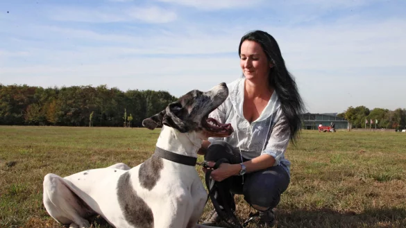 Im Gr&uuml;nen: Sandra Hillebrand streichelt ihre Dogge &bdquo;Amy" im Park am Detmolder Flugplatz. Bei diesem Ausflug hat sie ihren Hund immer an der Leine, da andere (nicht angeleinte) Hunde und Menschen in der N&auml;he sind. - &copy; Vera Gerstendorf-Welle