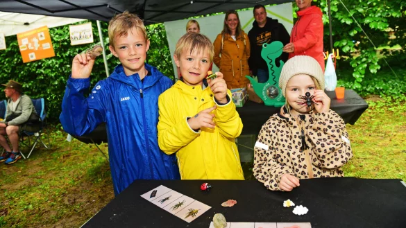 Tom (von links), Max und Charlotte testen ihre Sinne am Stand der Grundschule Holzhausen und ordnen die Insekten verschiedenen Stadien des Lebenszyklusses zu. - © Nicole Ellerbrake