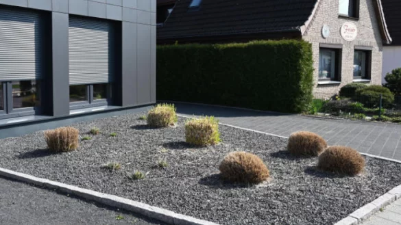Dieser Vorgarten ist gepr&auml;gt durch ein Beet mit grauen Steinen und wenigen Pflanzen &ndash; ein Beispiel aus Bremen, wo Schotterg&auml;rten ebenfalls politisch diskutiert werden.&nbsp; - &copy; CARMEN JASPERSEN/DPA
