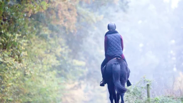 Reiten nach l&auml;ngerer Pause - &copy; Foto: Christin Klose/dpa-tmn