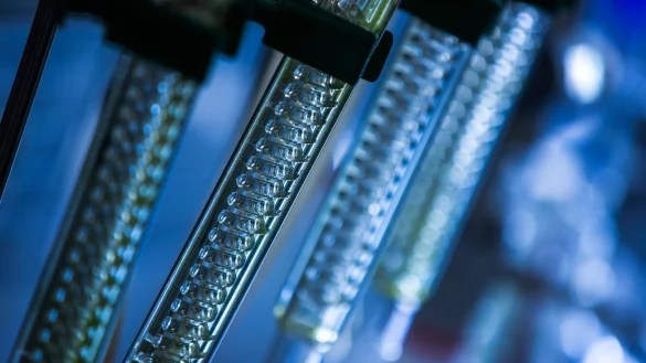 Zukunft im Tank - &copy; Foto: Jens B&uuml;ttner/dpa