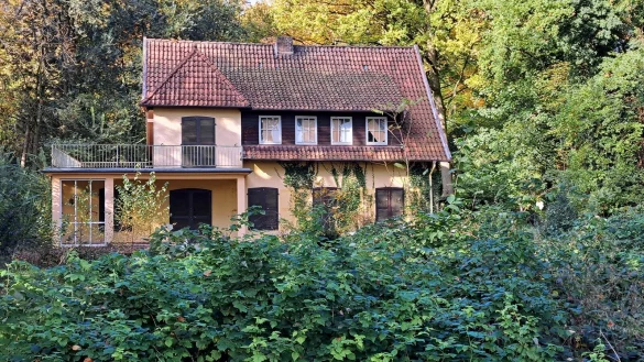 Mittlerweile wuchert es gewaltig in der Yorkstra&szlig;e. Die rund 5.000 Quadratmeter gro&szlig;e Fl&auml;che um die alte Wirus-Villa ist verwaist. - &copy; Philipp Kersten