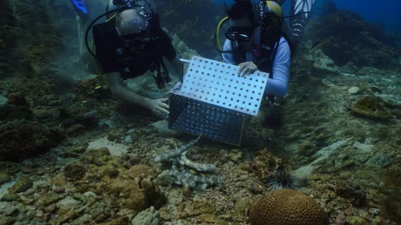 Auswilderung - &copy; Foto: S Hotels & Resorts/dpa