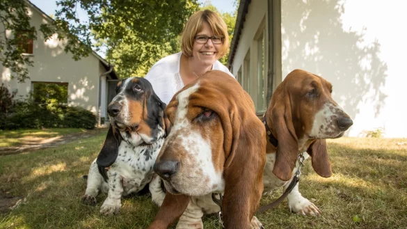 Angelika Meier ist auf der Suche nach der passenden Hunderasse bei den gemütlich-ruhigen Basset-Hounds fündig geworden. In Deutschland sind die Vierbeiner mit den Schlappohren ein seltener Anblick.  - © Torben Gocke