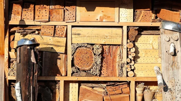 Insektenhotel - &copy; Foto: Jan Woitas