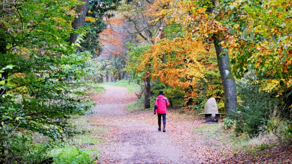 Der Kammweg verl&auml;uft oben auf dem T&ouml;nsberg. Genutzt wird er von Wanderern und L&auml;ufern gleicherma&szlig;en. Er ist mittlerweile zu einem historischen Lehrpfad ausgebaut worden. - &copy; Martin D&uuml;sterberg