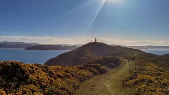 Neuseeland - &copy; Foto: Guo Lei/XinHua/dpa