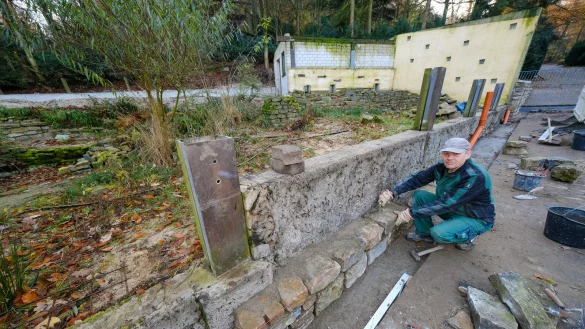Tierpark-Mitarbeiter Abram Regier verkleidet die &auml;u&szlig;ere Mauer der neuen Anlage mit Natursteinen. - &copy; Foto: Andreas Zobe/NW