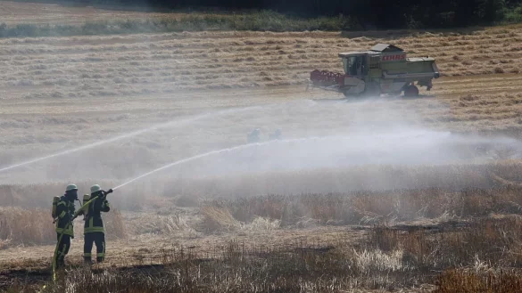 Im Kreis H&ouml;xter konnte die Feuerwehr den Brand auf einem Feld unter Kontrolle bringen. - &copy; David Schellenberg