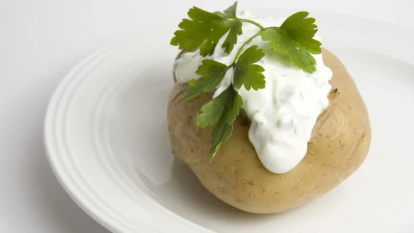 Magere Knolle - &copy; Foto: dpa