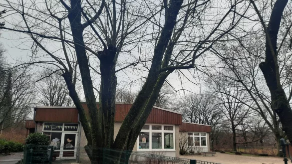 Kita Gartenstra&szlig;e wird umgebaut. - &copy; Michaela Wei&szlig;e