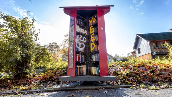 Der B&uuml;cherschrank in Heiligenkirchen ist zum wiederholten Mal besch&auml;digt worden. - &copy; Torben Gocke